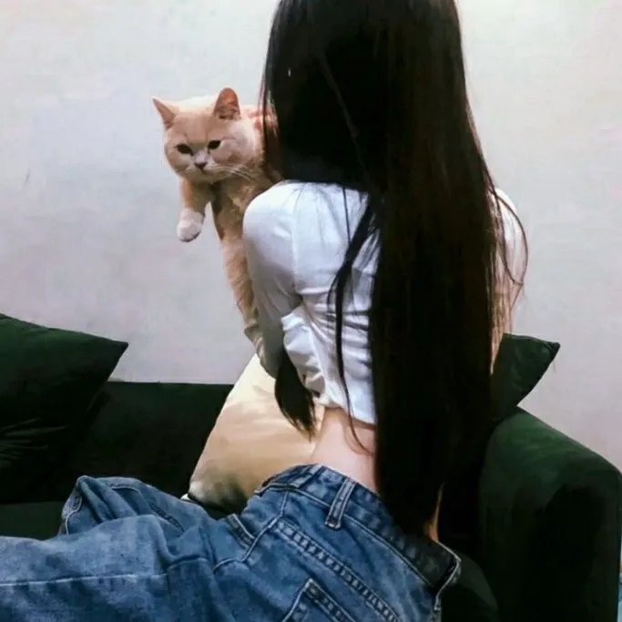 阿卡普科第二季